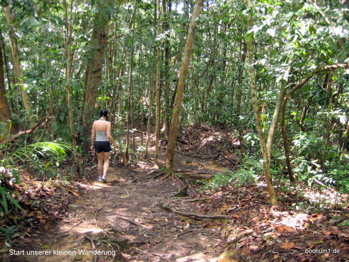 Wanderung durch den Regenwald