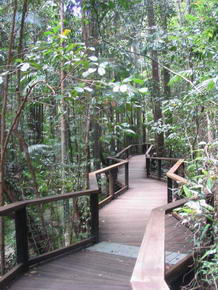 Yidney Rainforest Center