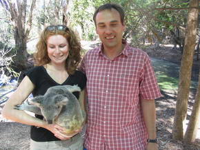 Koala auf dem Arm