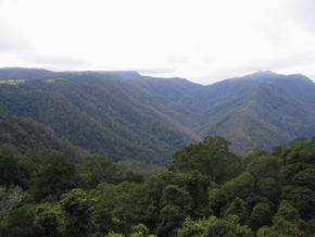 Ausblick vom Steg auf das Bellinger Tal