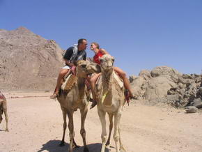 Unsicherer Kuss auf dem Kamel
