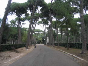 Piniengesumter Weg in der Villa Borghese