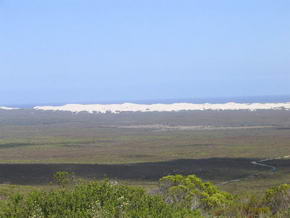 Der De Hoop Nationalpark mit den Dünen im Hintergrund