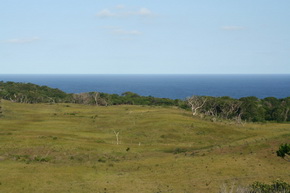 Ausblick vom Mission Rocks Viewpoint zum Meer